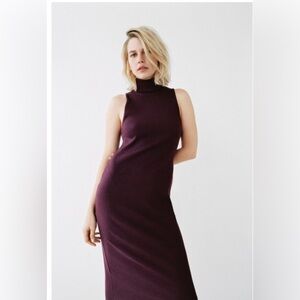 Zara Plum Maxi Dress